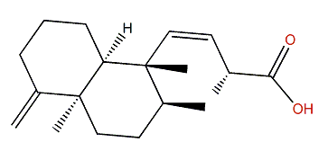 (5a,11E,13S)-15-Nor-4(18),11-clerodadien-14-oic acid